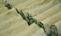Cannelloni